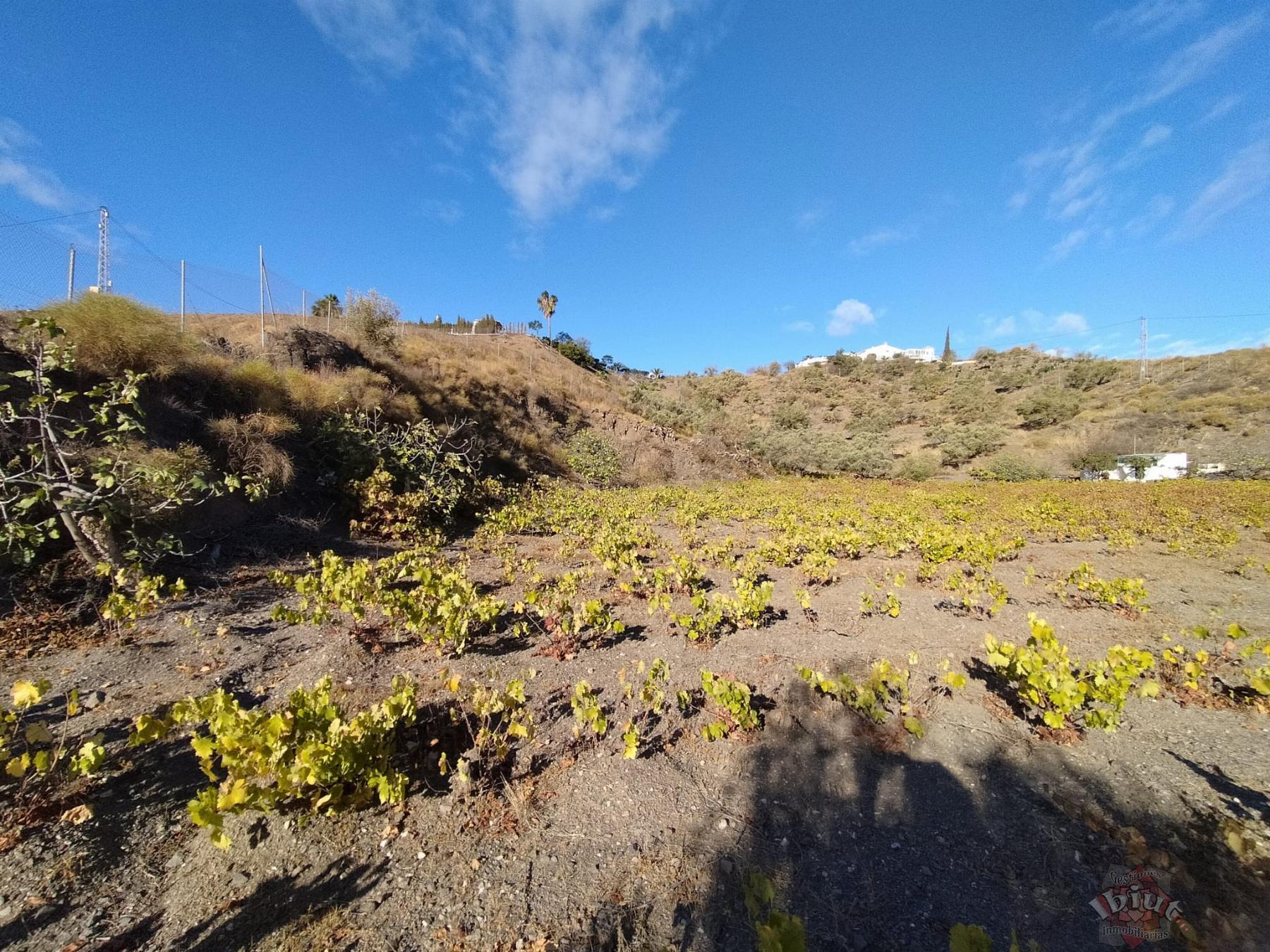 For sale of land in Algarrobo
