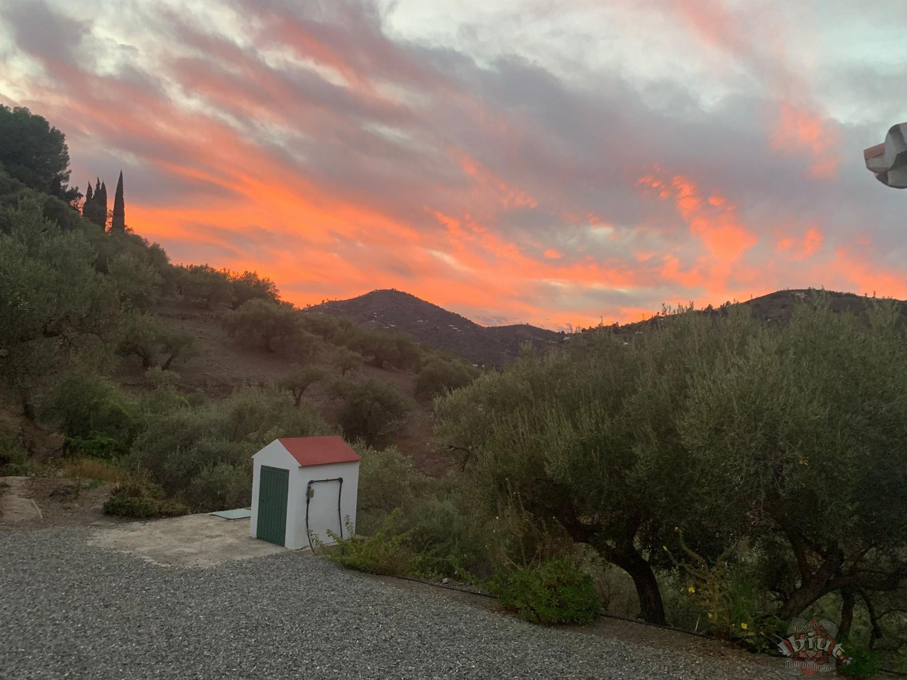 For rent of rural property in Torrox