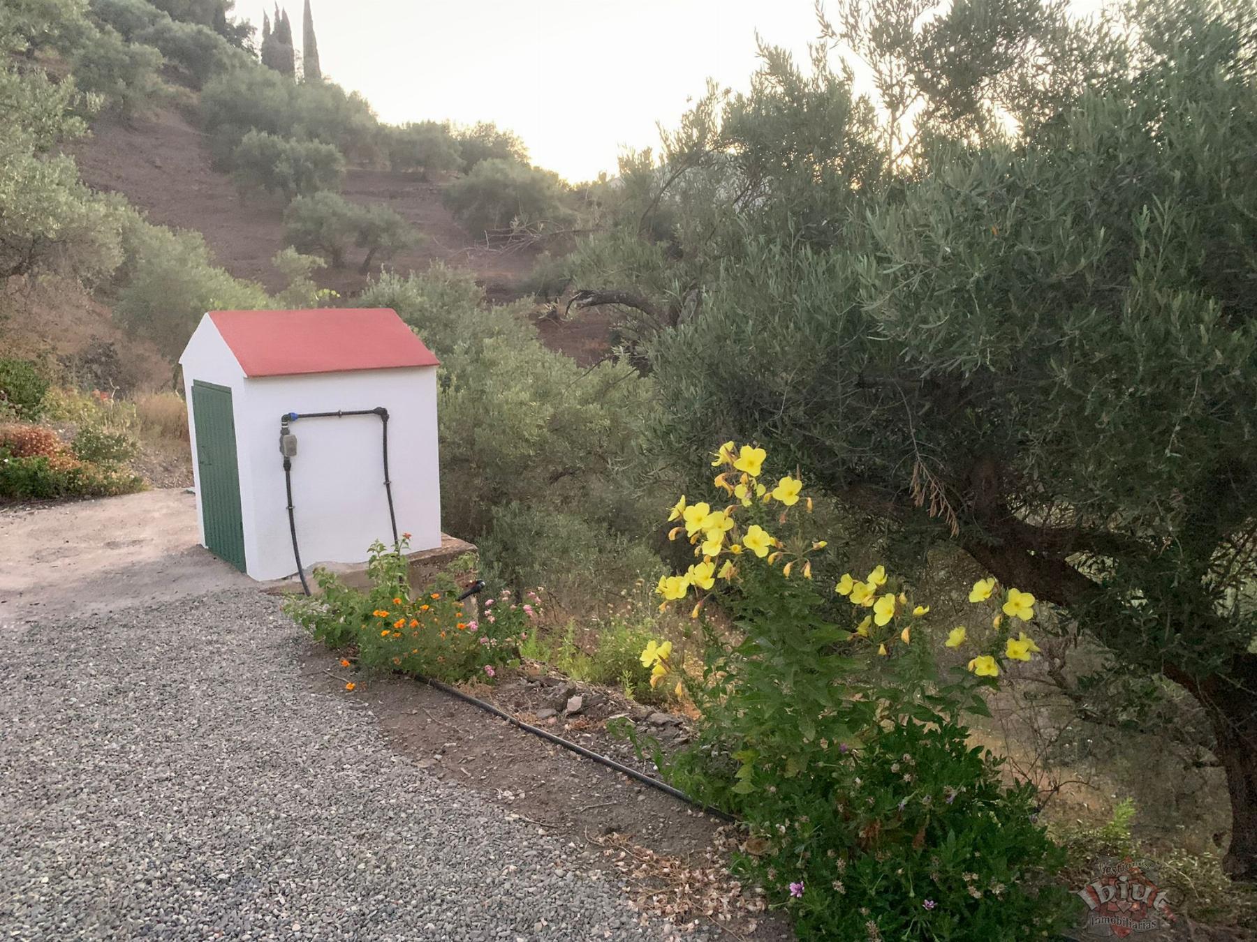 For rent of rural property in Torrox