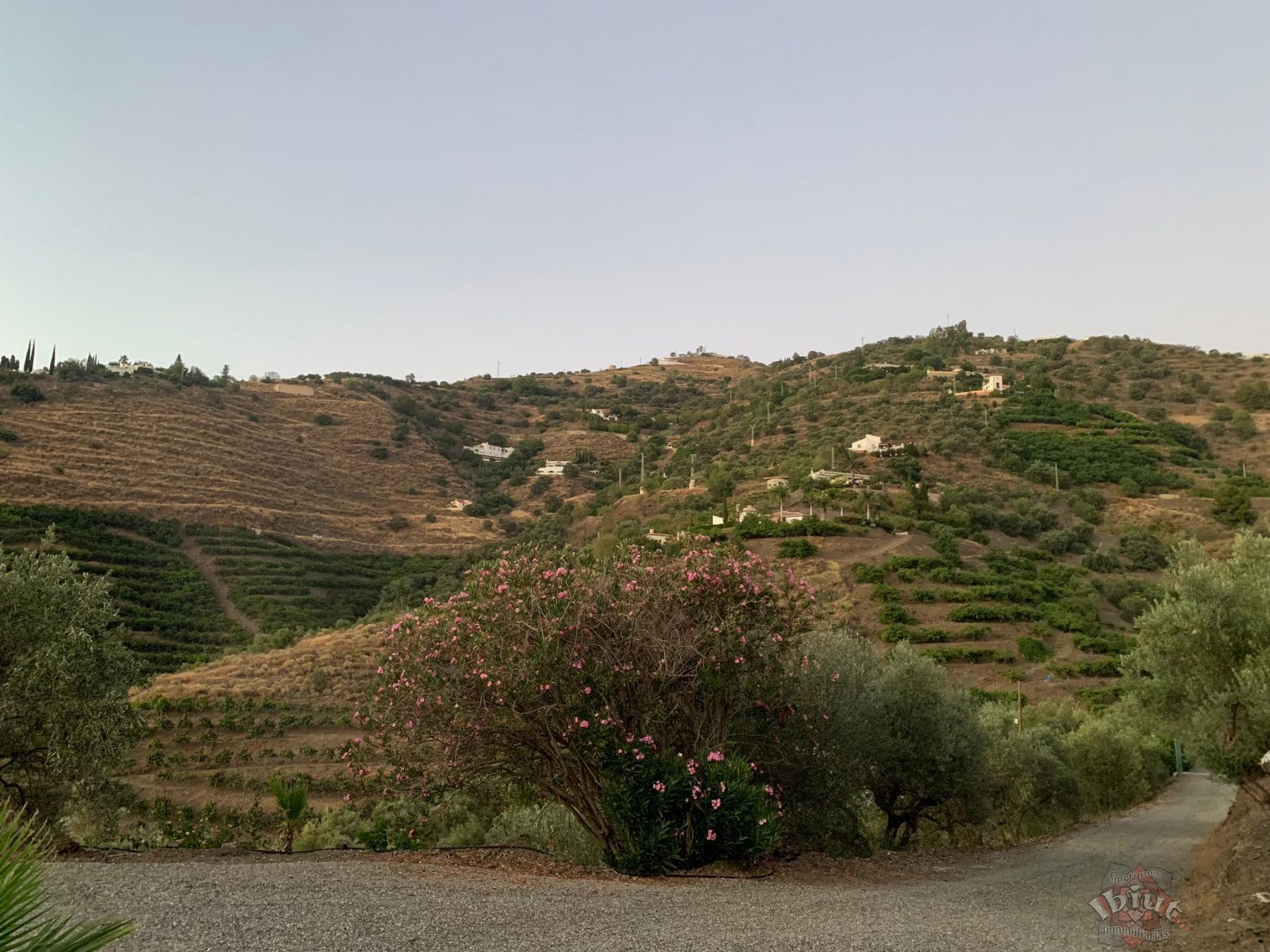 For rent of rural property in Torrox