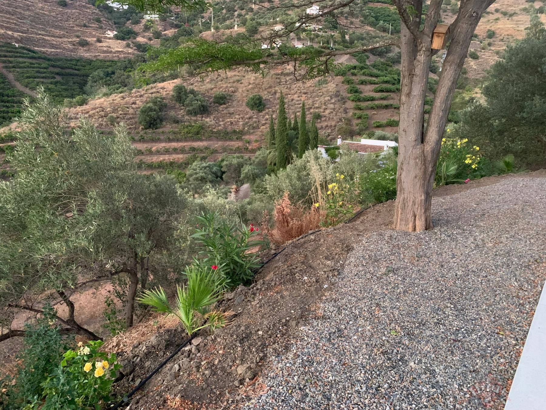 For rent of rural property in Torrox