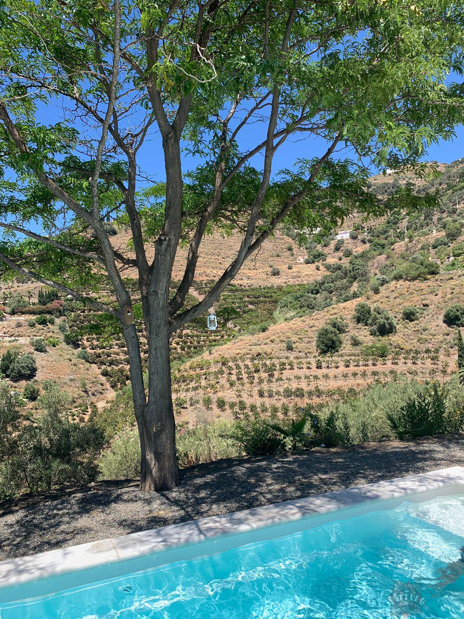 For rent of rural property in Torrox