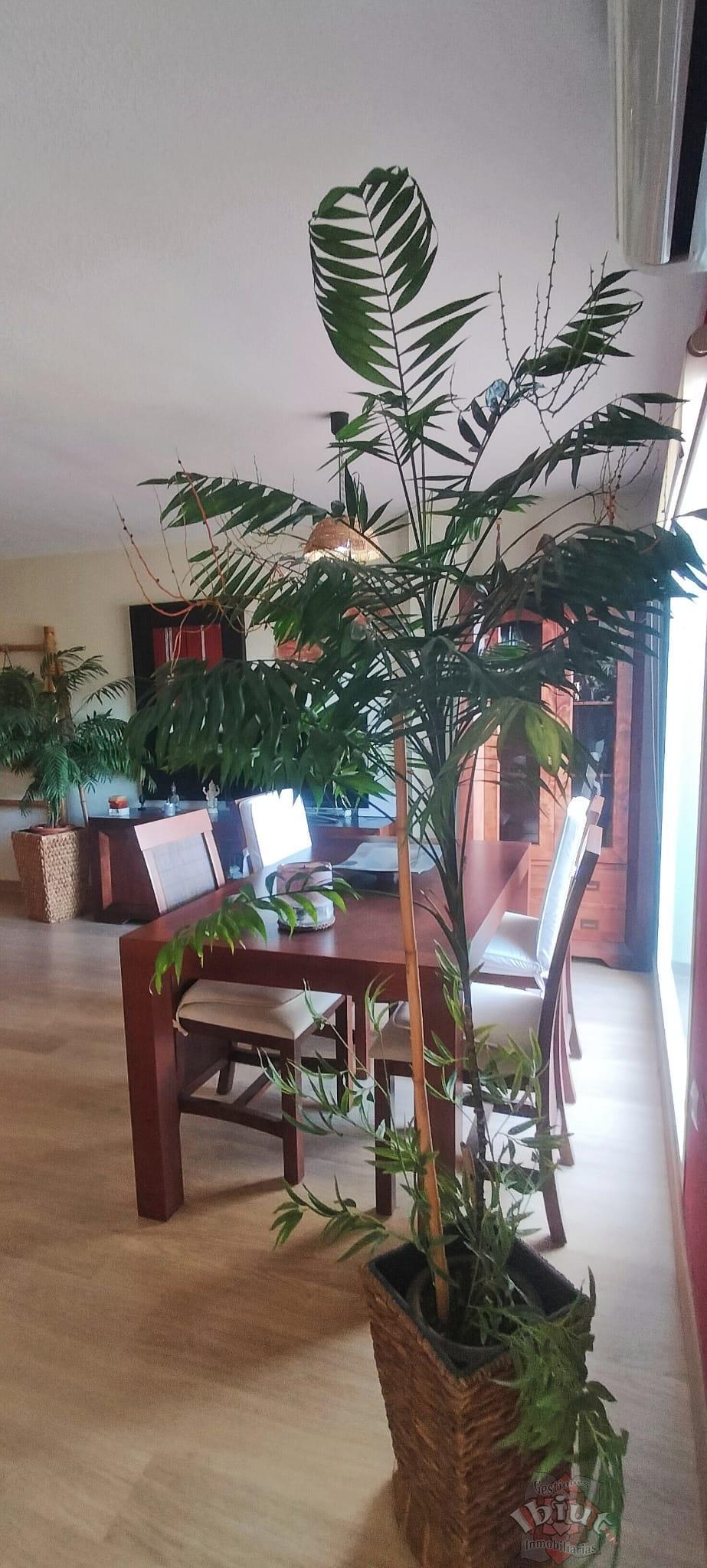 Venta de dúplex en Rincón de la Victoria
