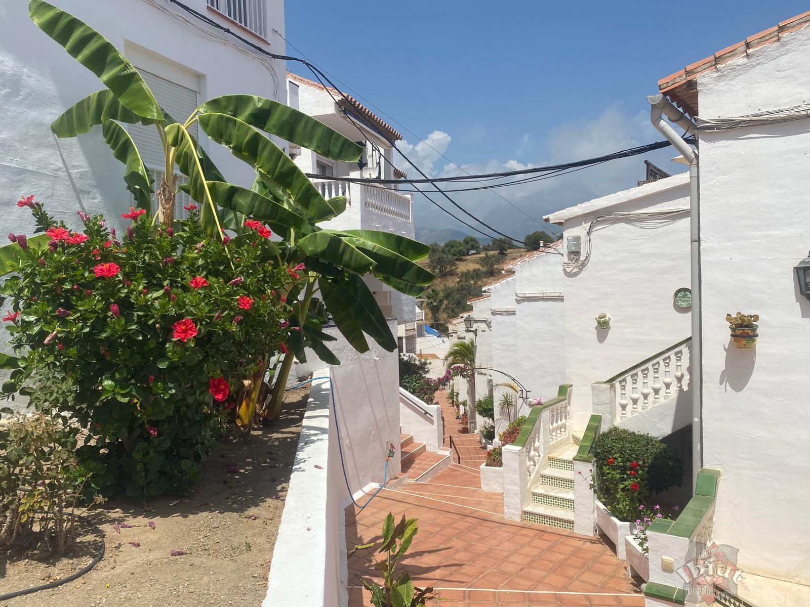 Alquiler de apartamento en Nerja