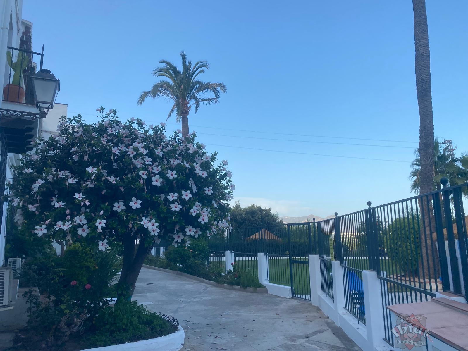 Alquiler de apartamento en Nerja