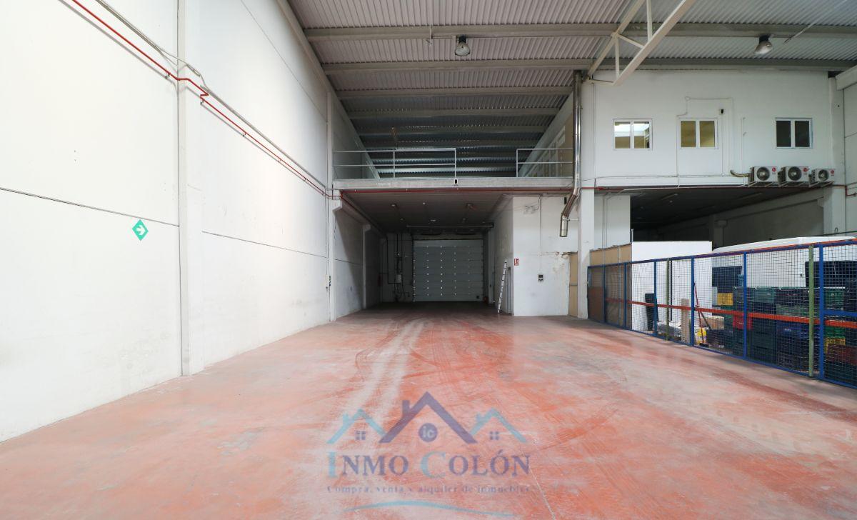 For rent of industrial plant/warehouse in Irun