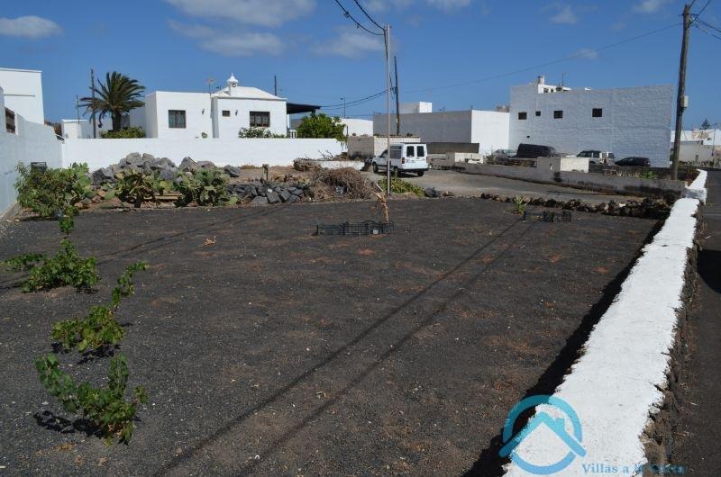 Venda de chão em Teguise