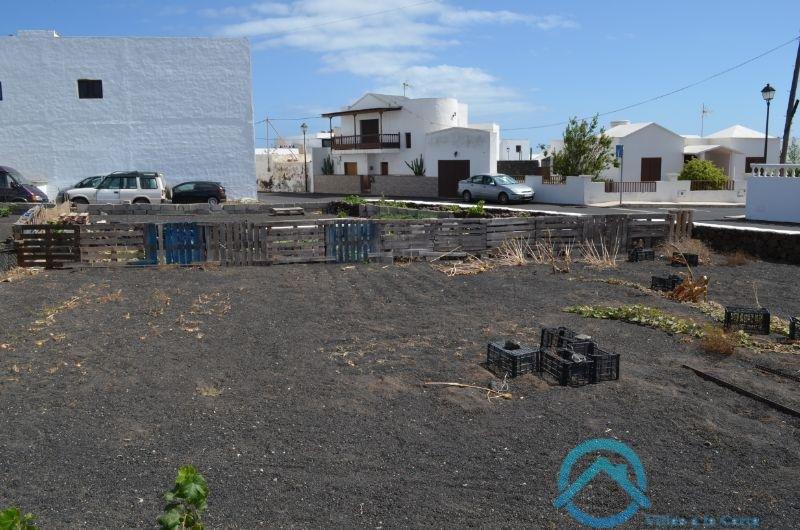 Vente de terrain dans Teguise