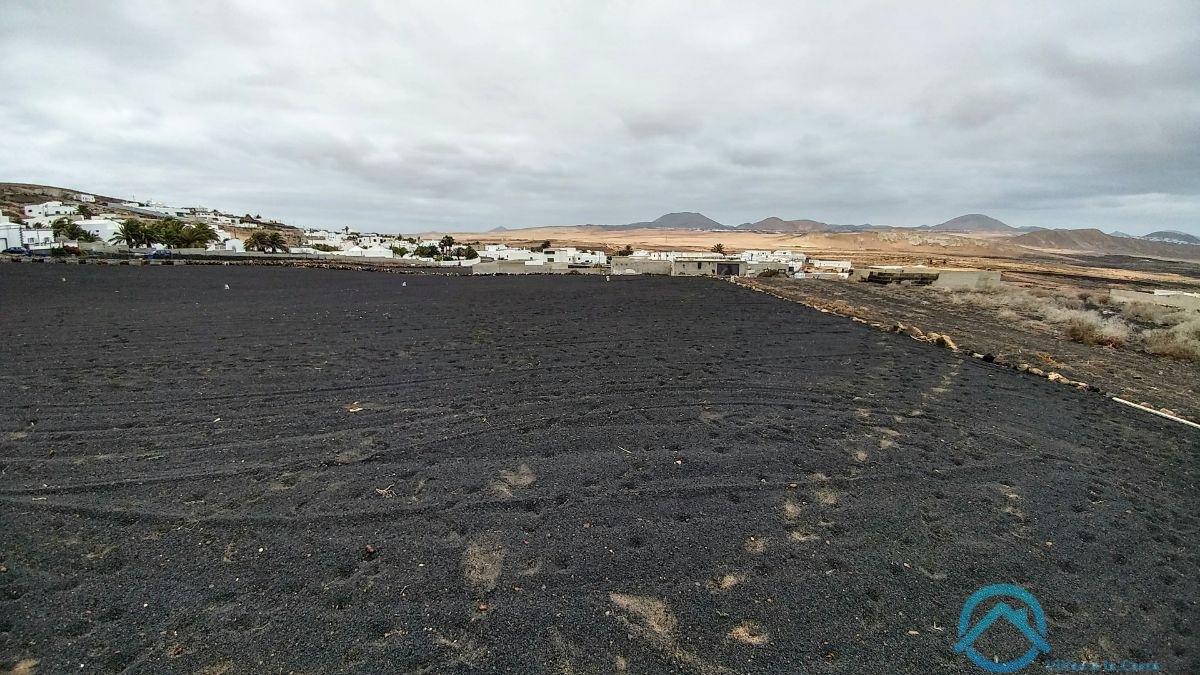 Verkoop van terrein in Teguise