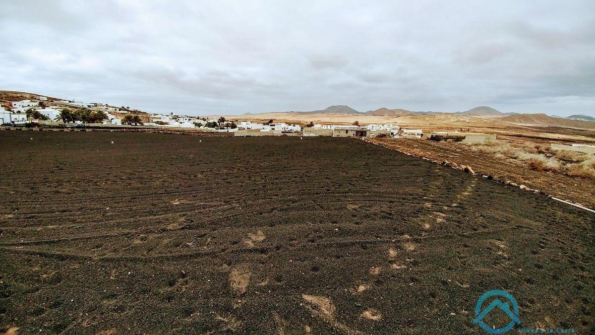 Verkoop van terrein in Teguise