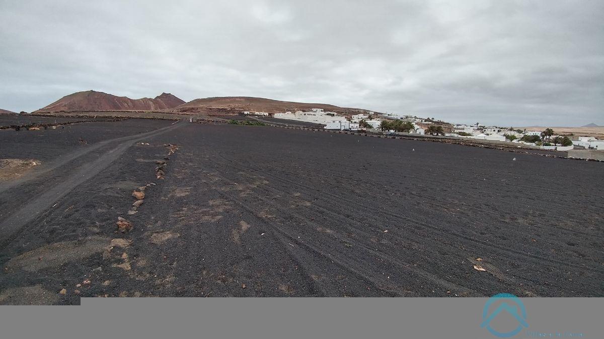 Verkoop van terrein in Teguise