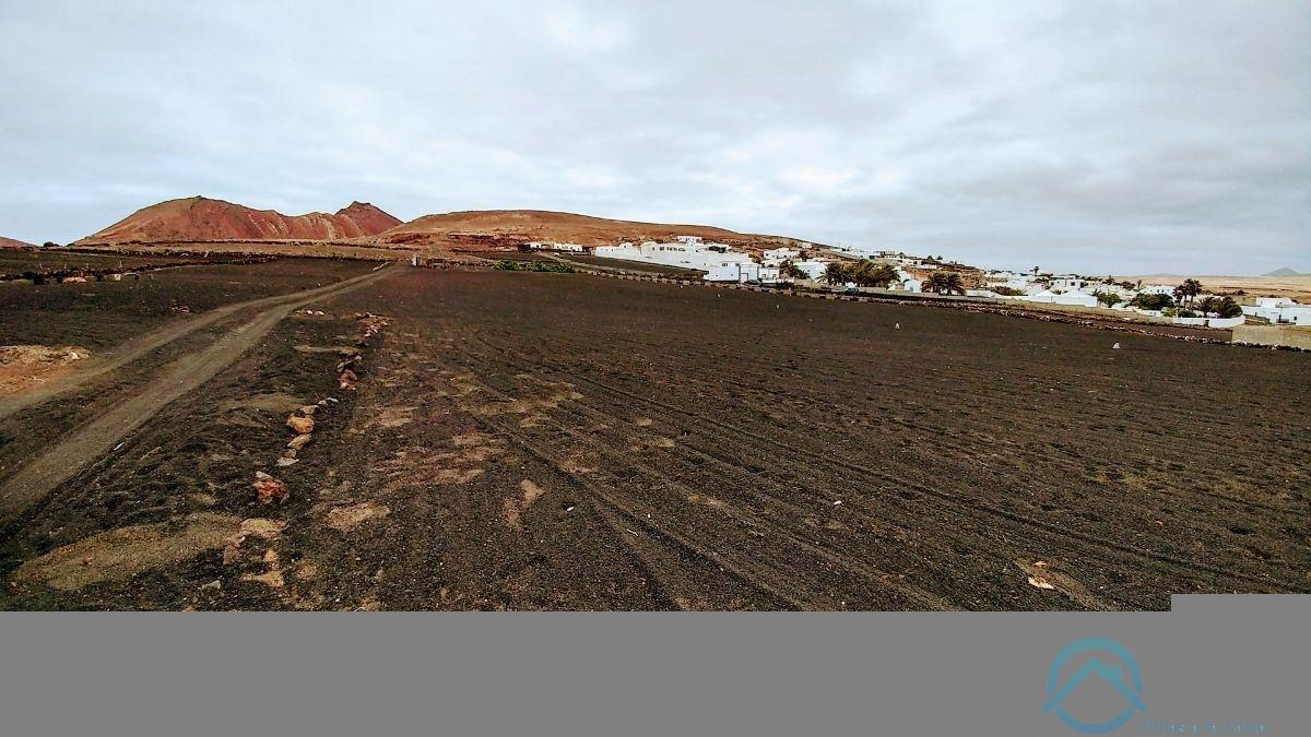 Verkoop van terrein in Teguise