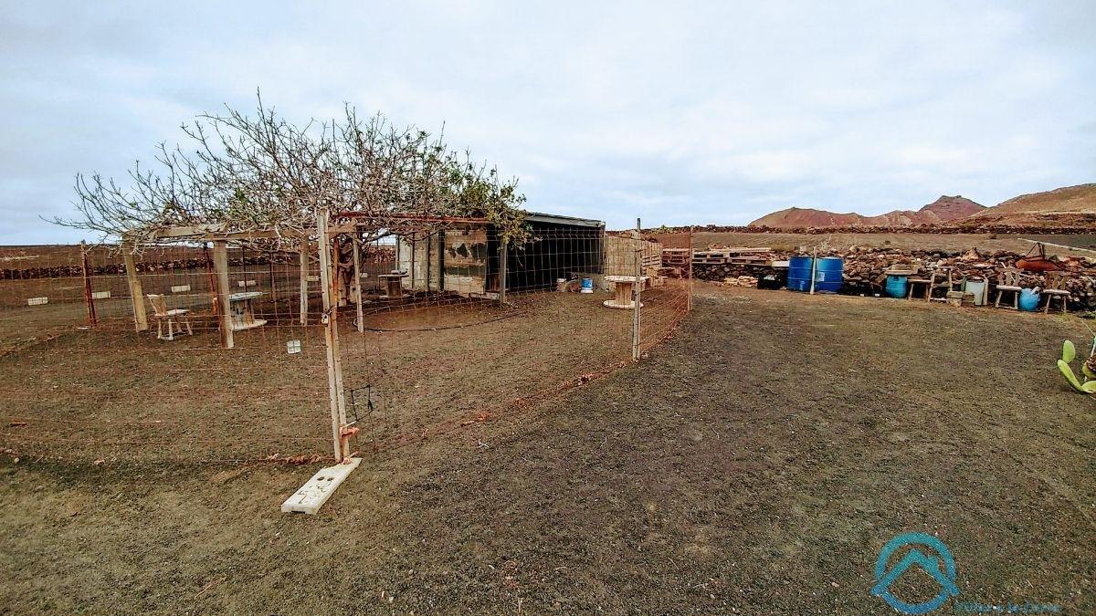 Verkoop van terrein in Teguise