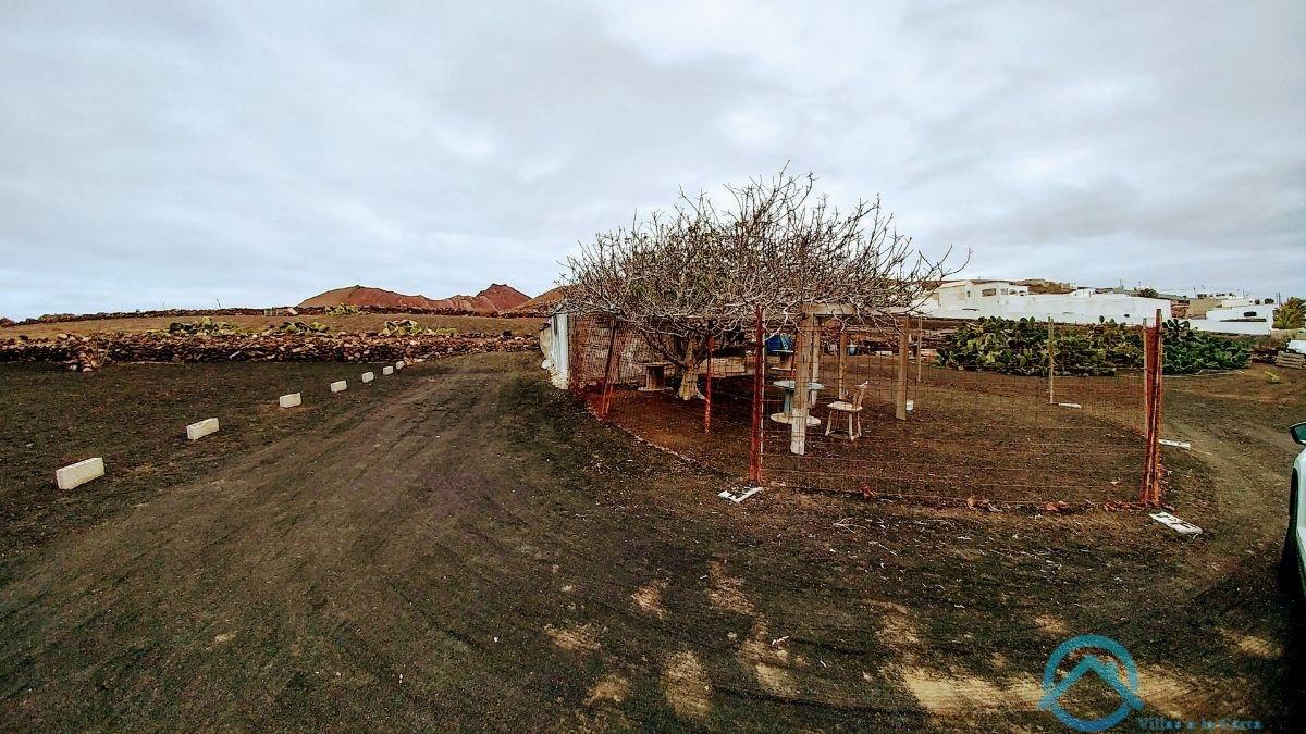 Verkoop van terrein in Teguise