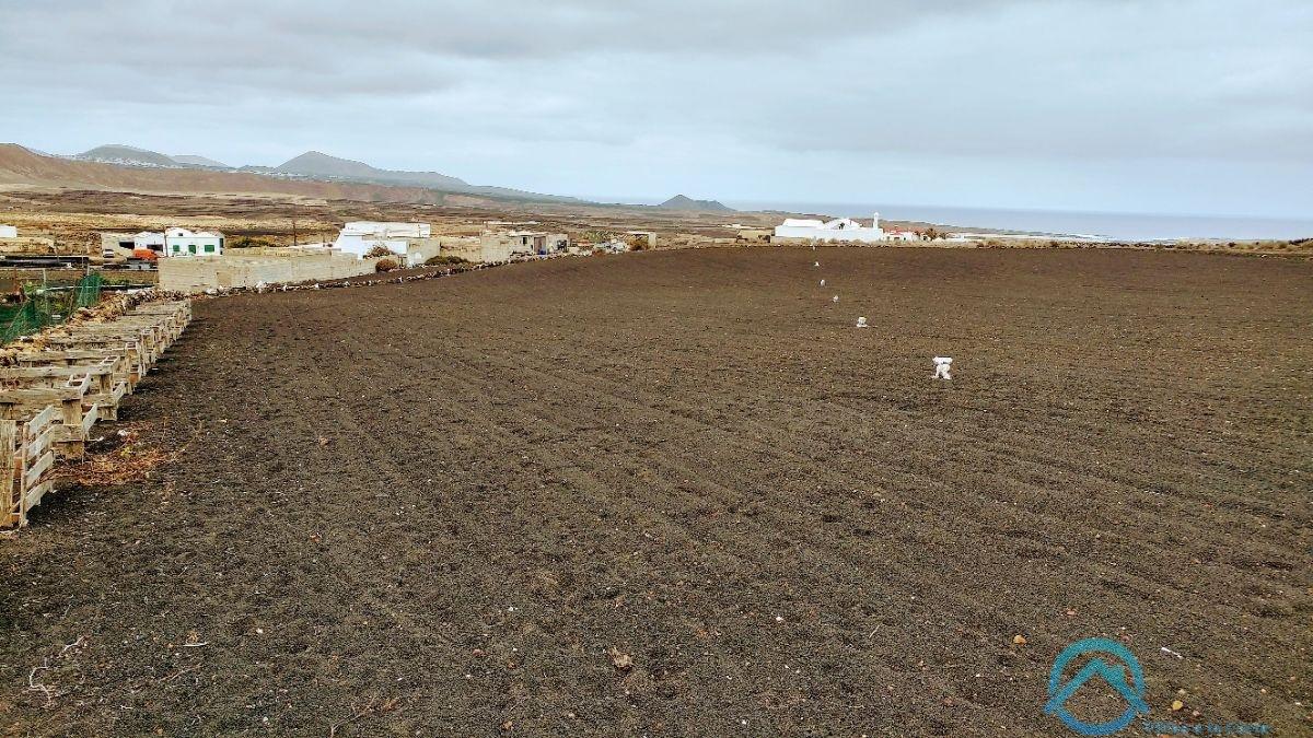 Verkoop van terrein in Teguise