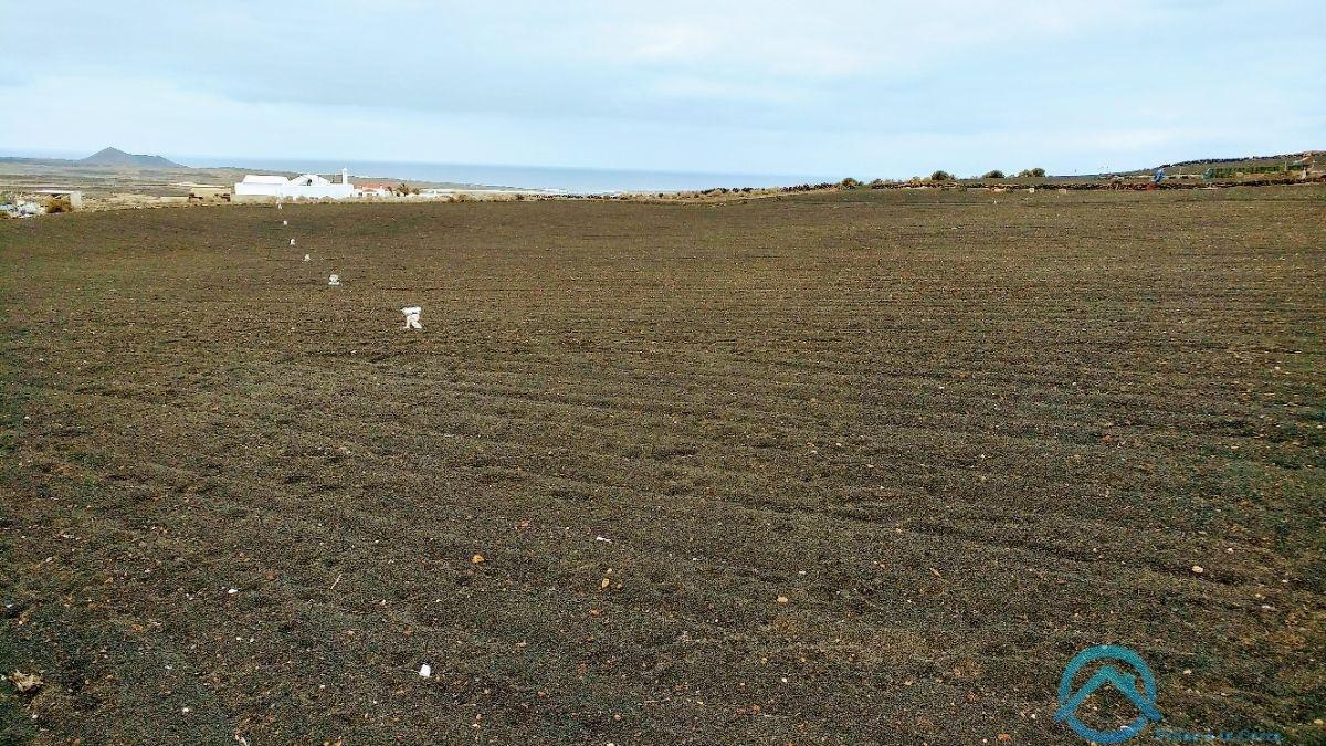 Verkoop van terrein in Teguise