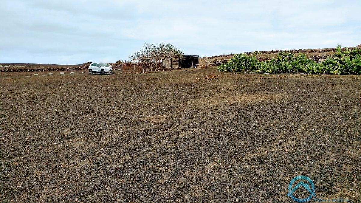 Verkoop van terrein in Teguise