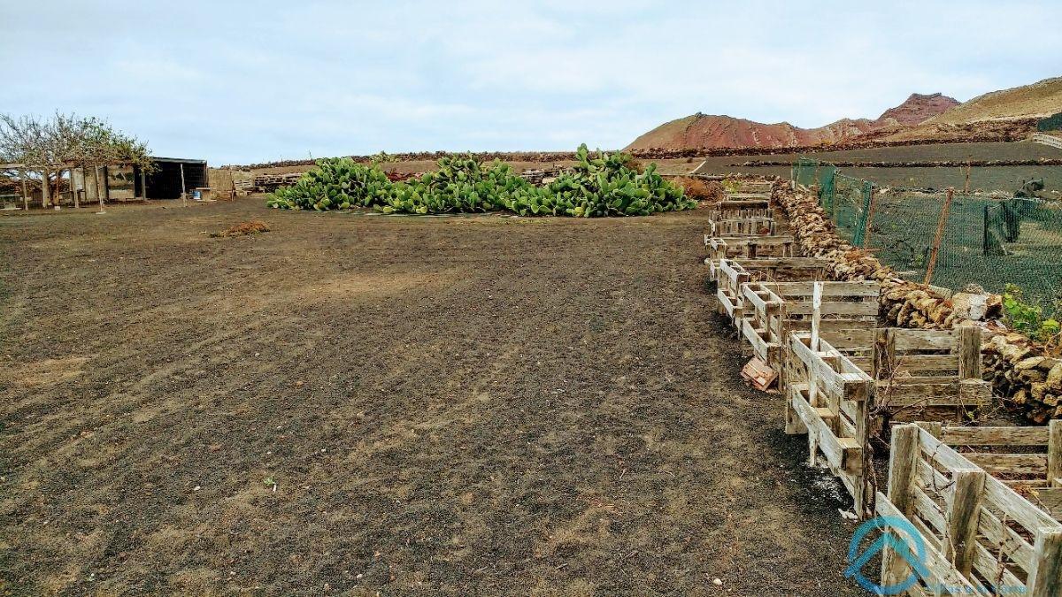 Verkoop van terrein in Teguise