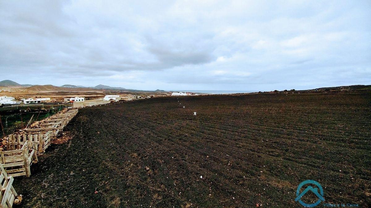 Verkoop van terrein in Teguise