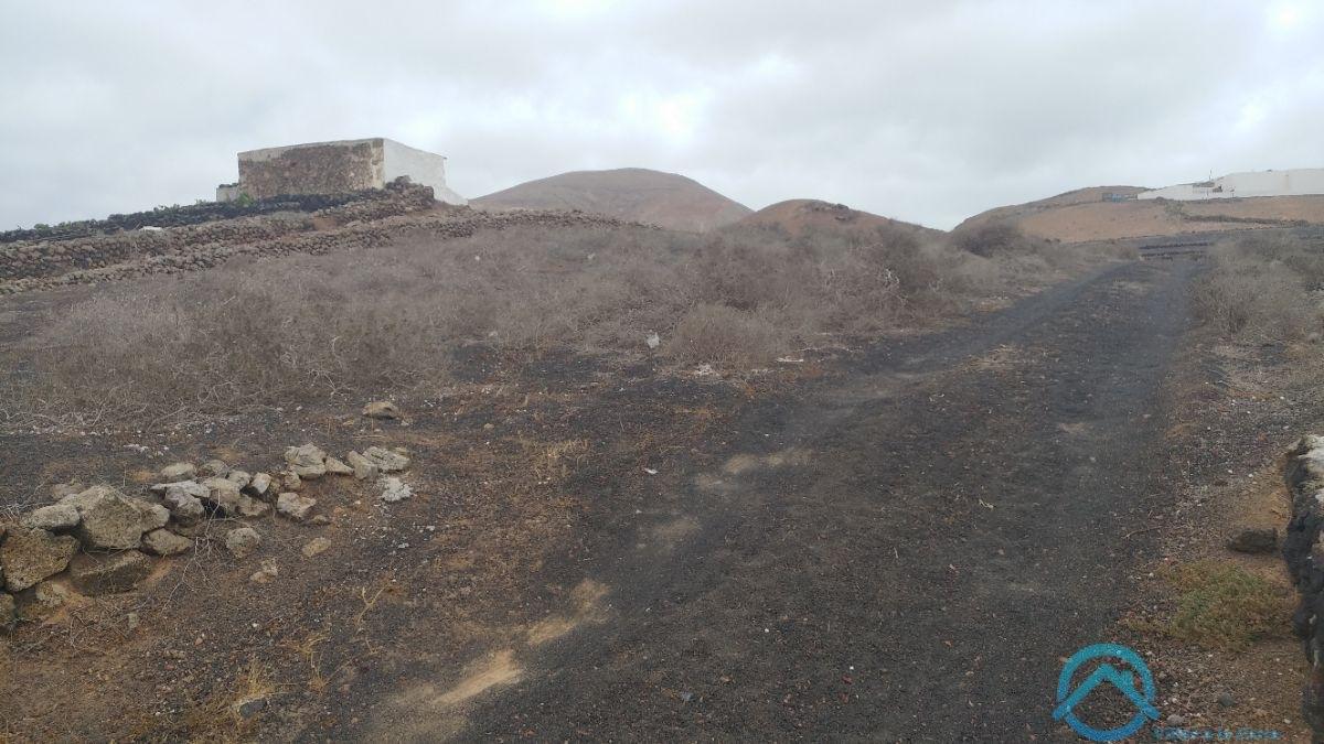 Venda de chão em Tinajo