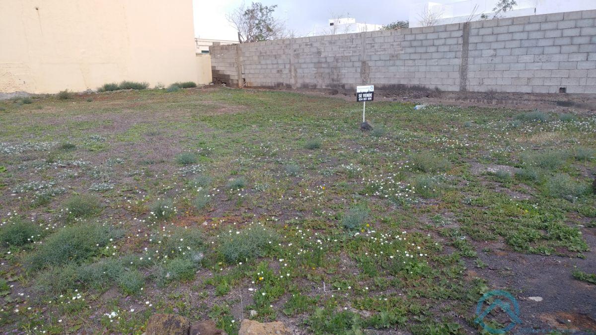 For sale of land in San Bartolome