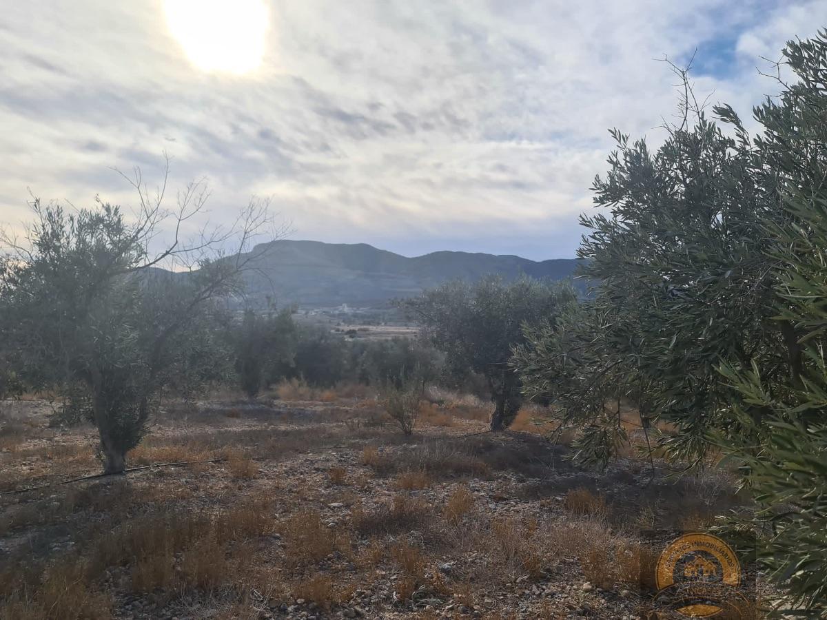 For sale of land in Alicante