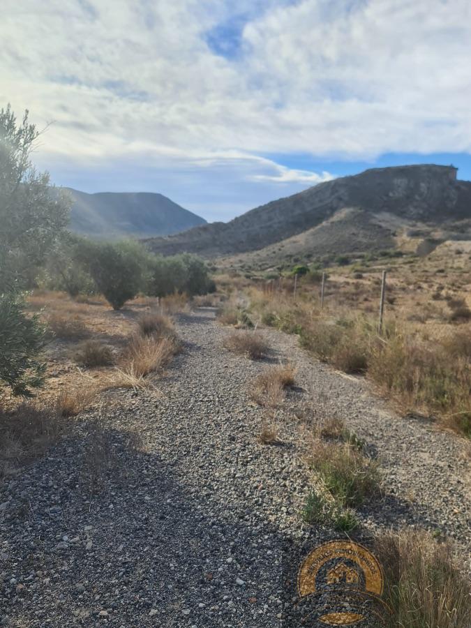 Venta de terreno en Alicante