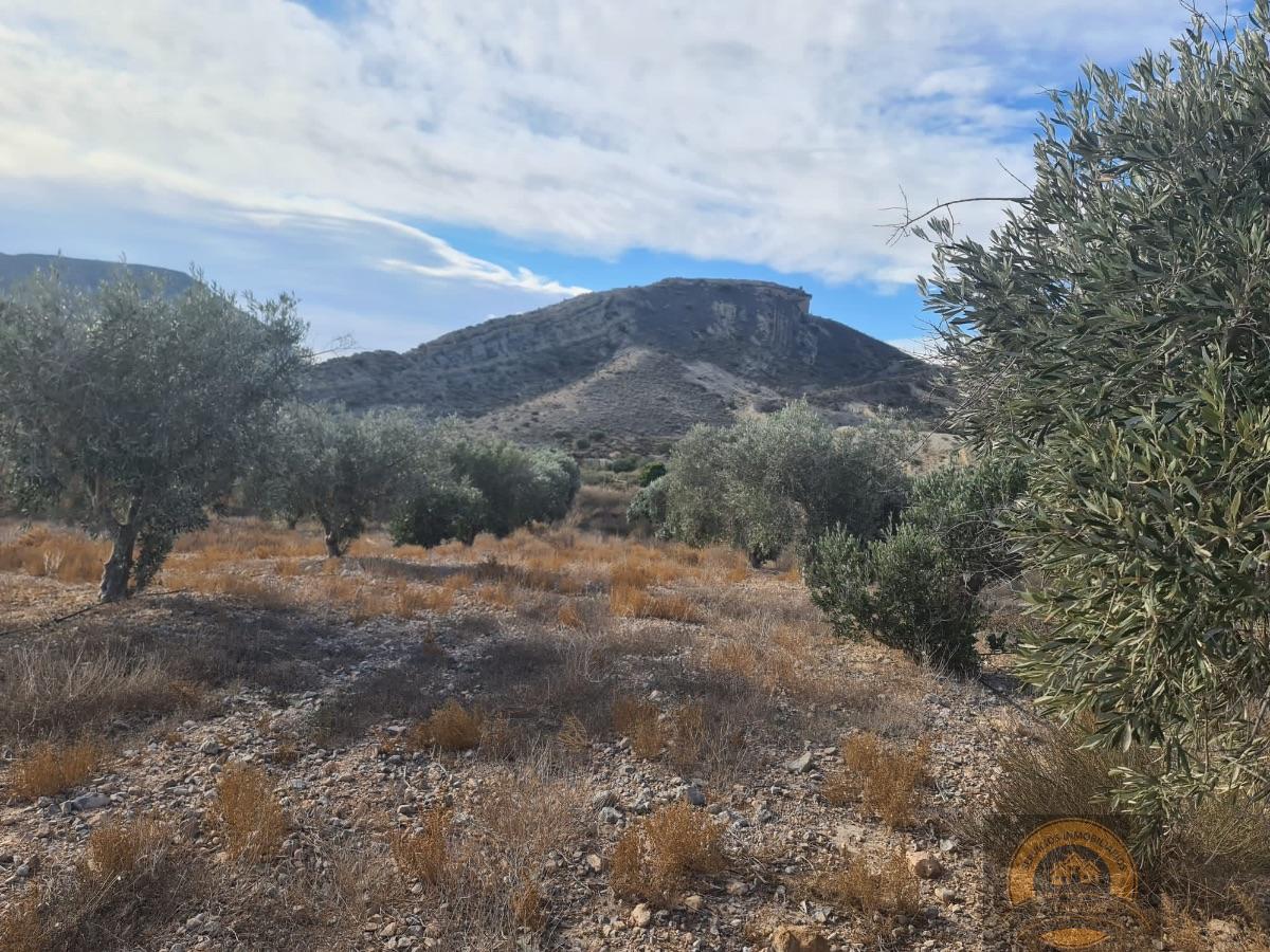 For sale of land in Alicante