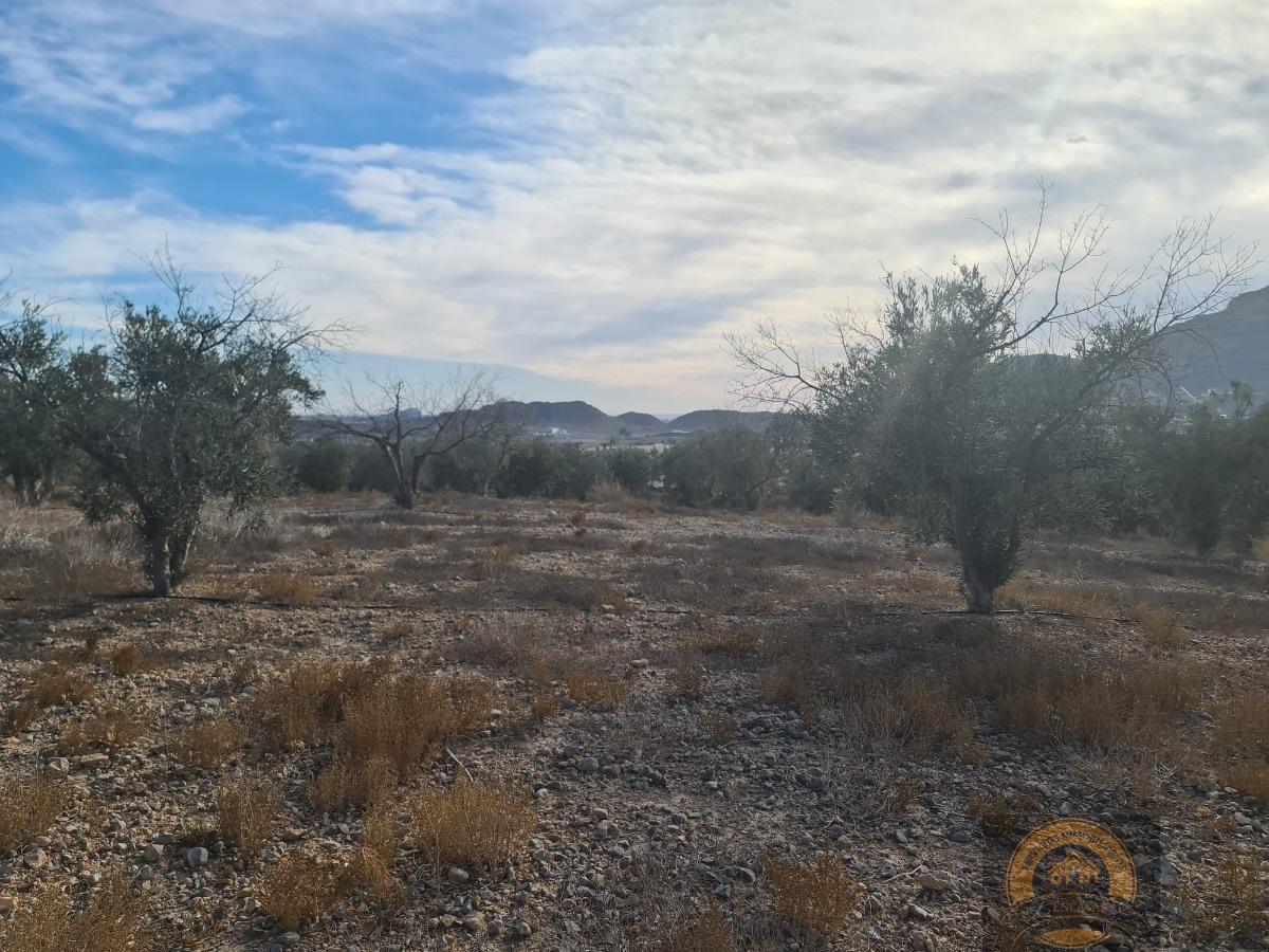 For sale of land in Alicante