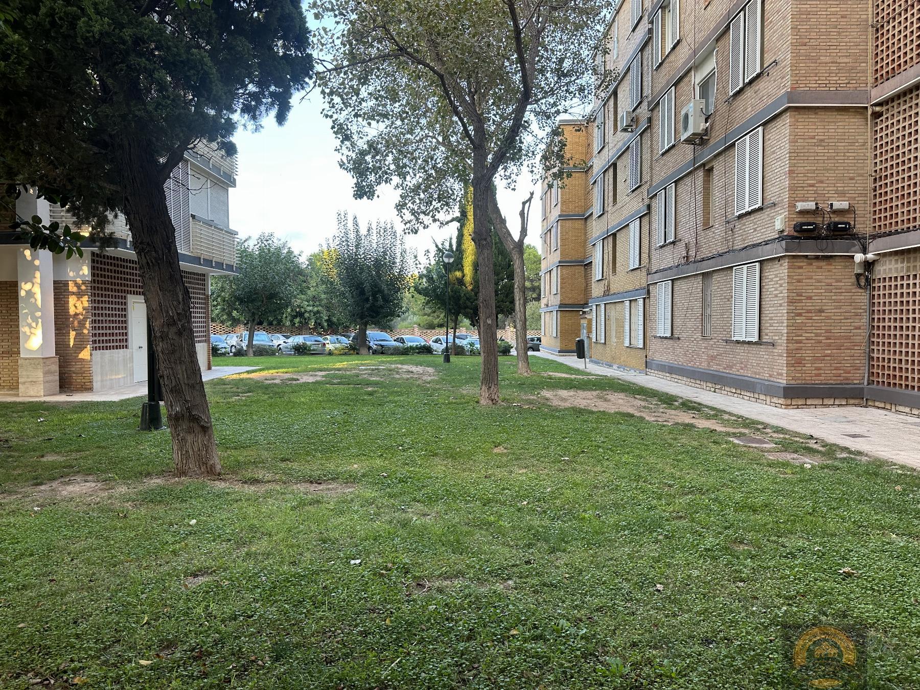 For rent of apartment in Alicante