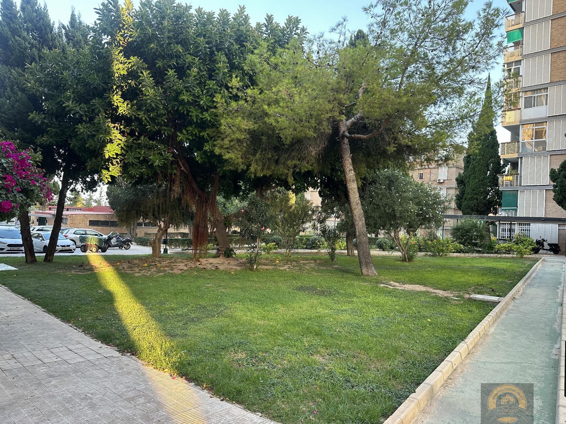 For rent of apartment in Alicante