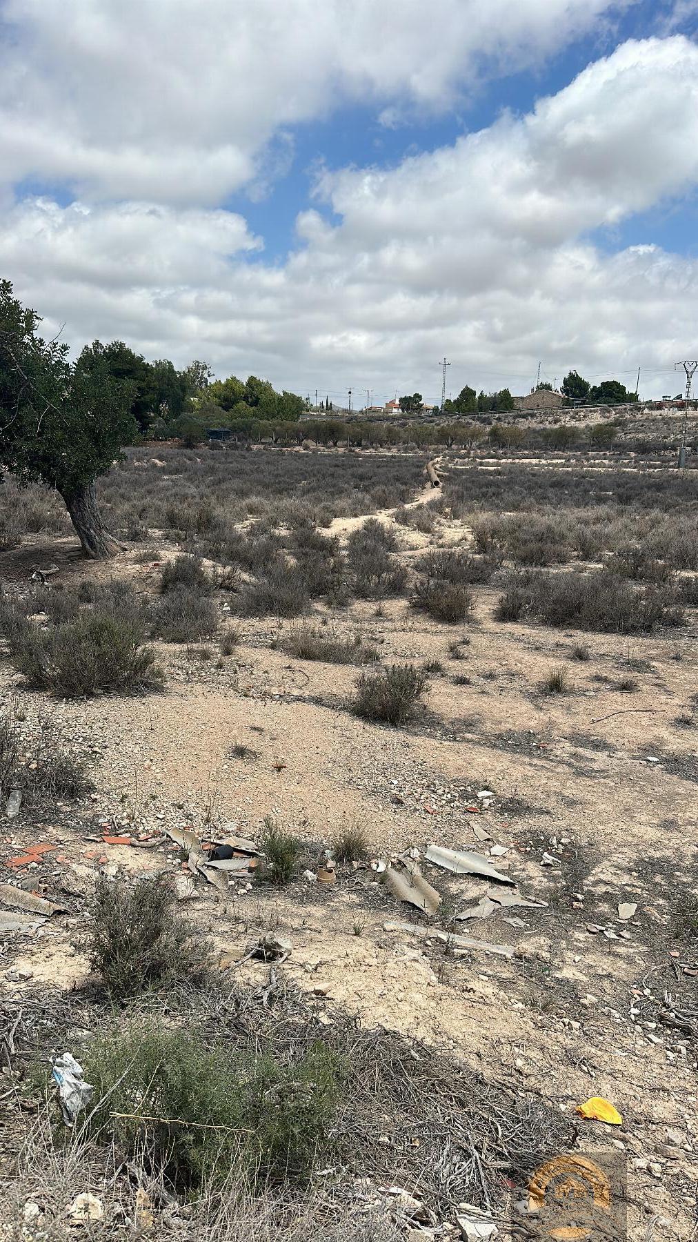 Vente de propriété rurale dans Alicante