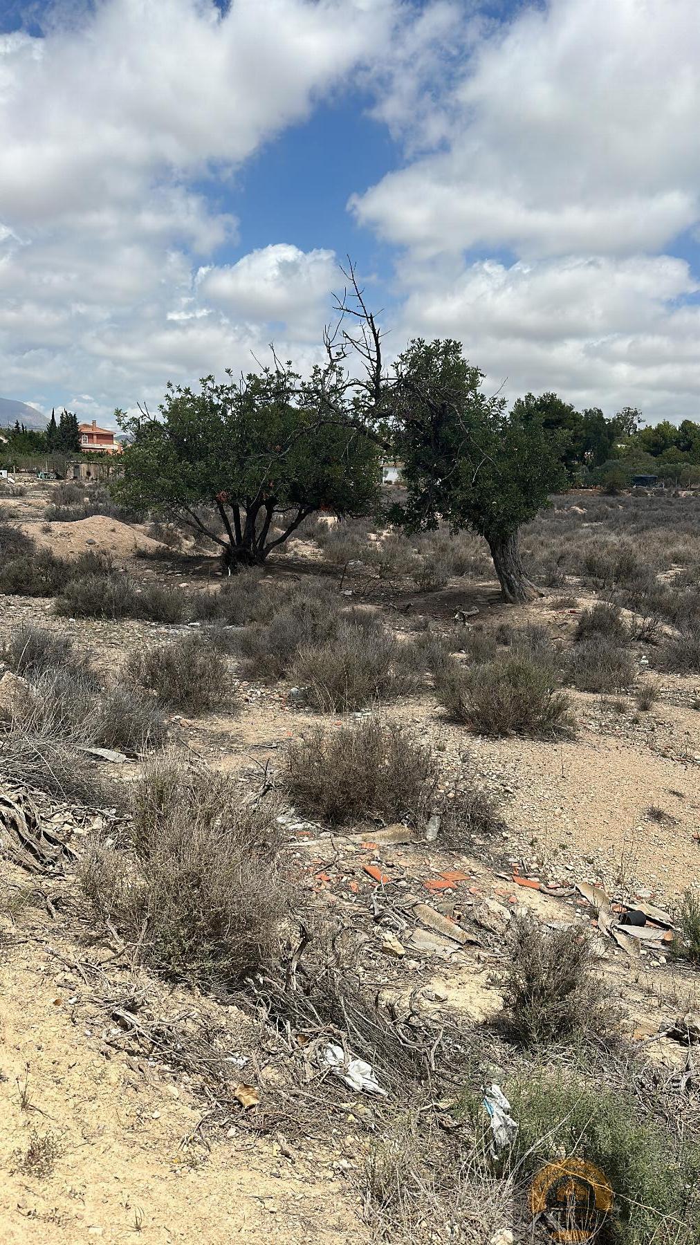 Vente de propriété rurale dans Alicante