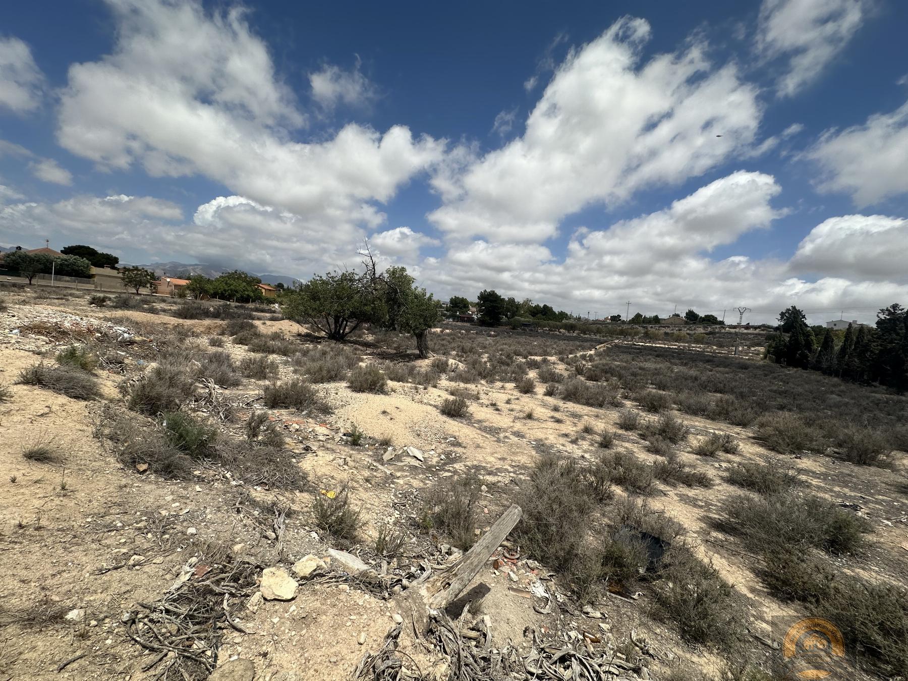Vente de propriété rurale dans Alicante