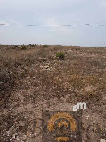 Venta de finca rústica en Alicante