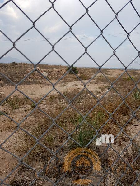 Venta de finca rústica en Alicante