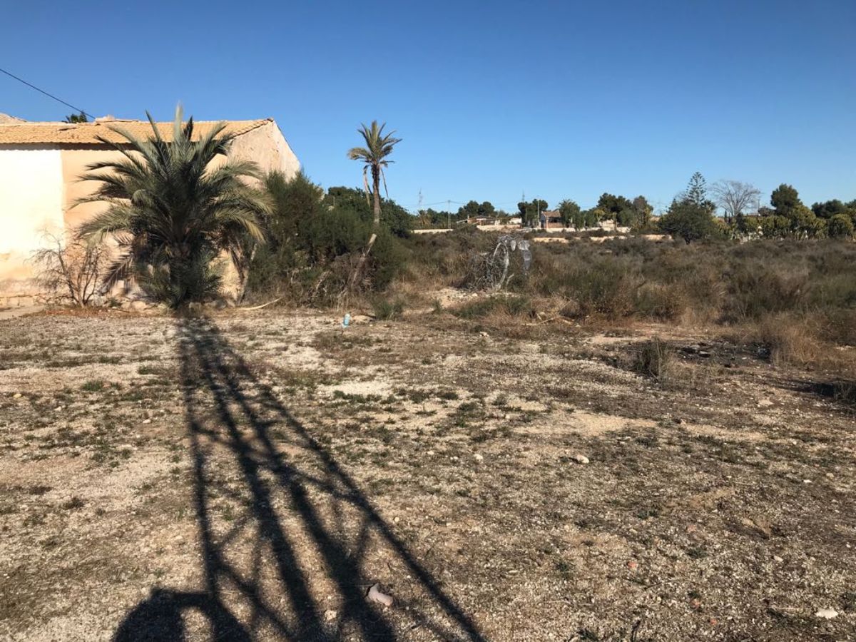 For sale of land in Elche-Elx