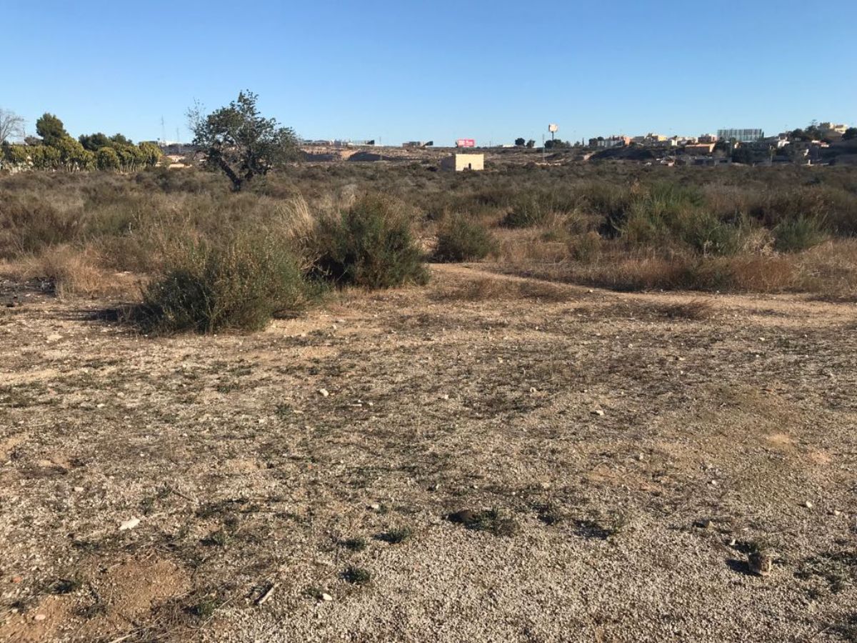 For sale of land in Elche-Elx