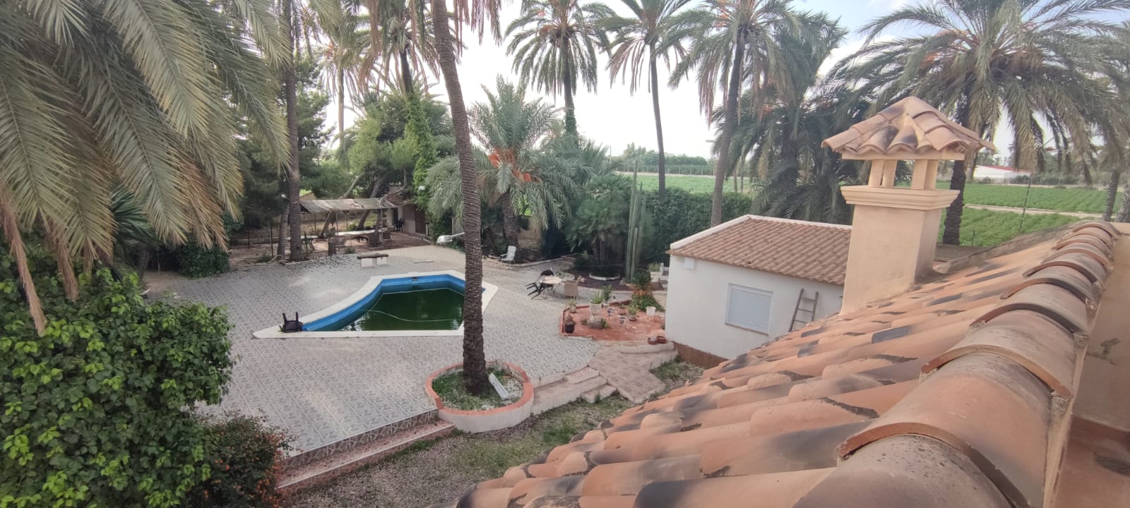 Venta de chalet en Elche-Elx