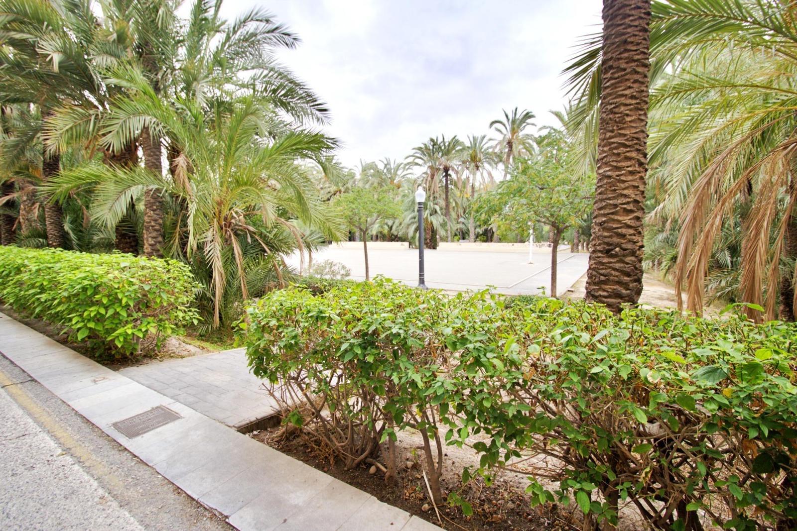 Venta de casa en Elche-Elx