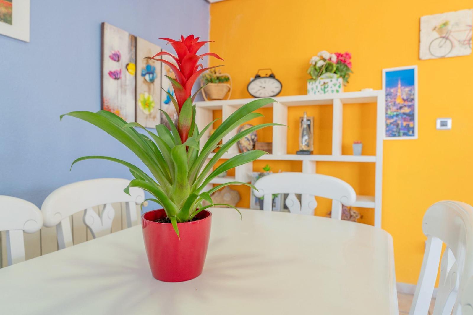Venta de piso en Elche-Elx