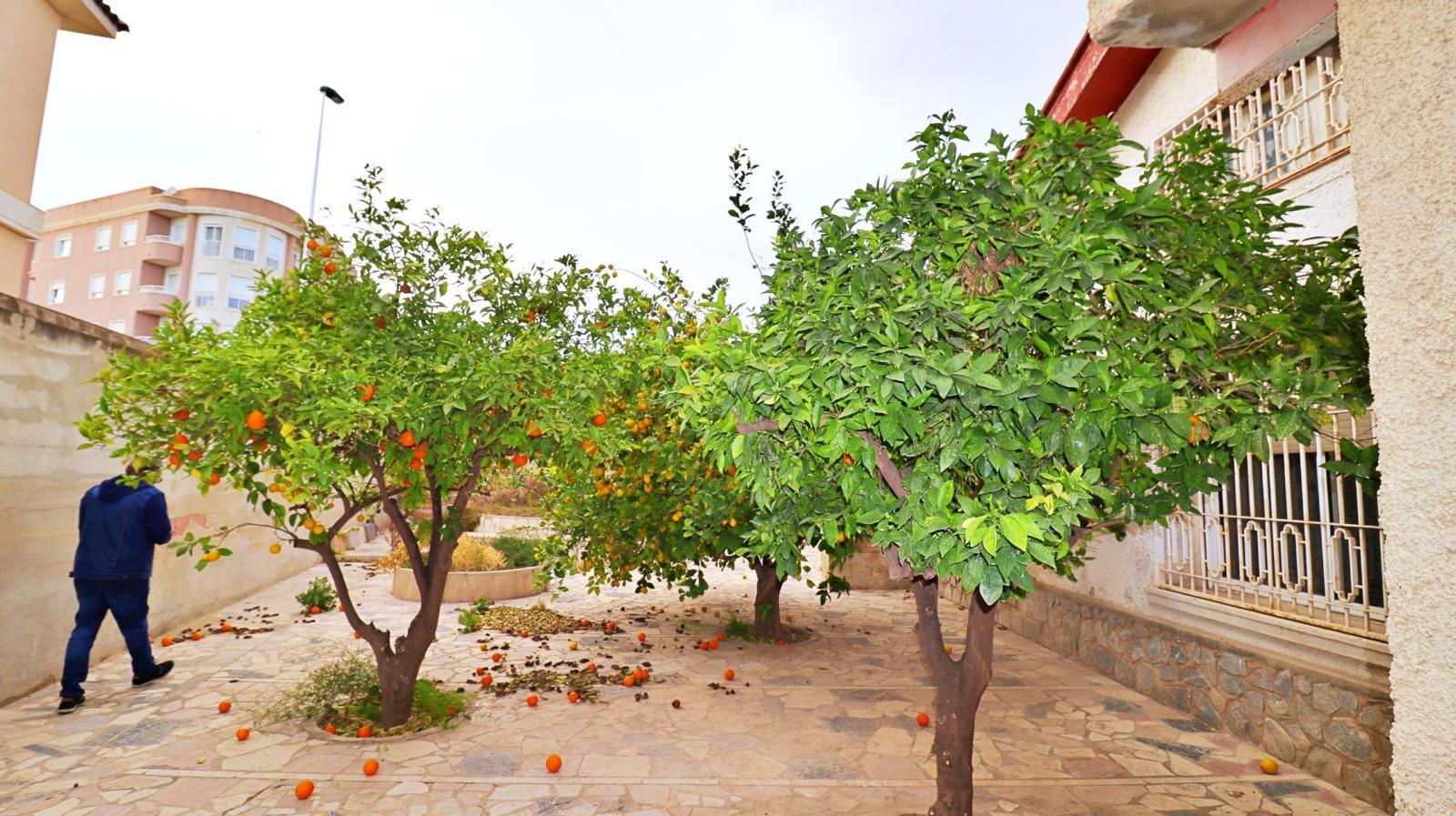Venta de chalet en Elche-Elx