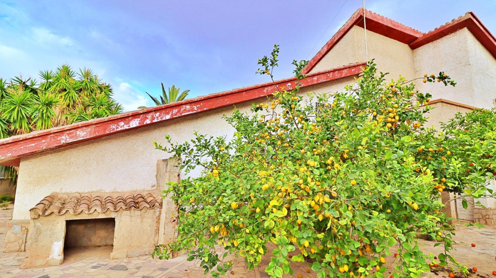For sale of chalet in Elche-Elx