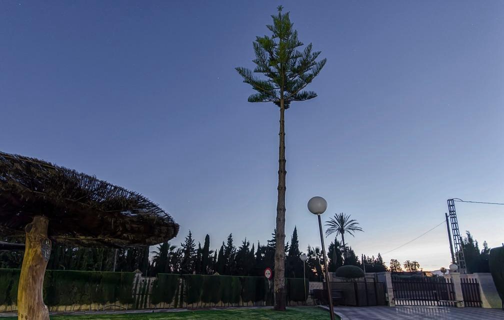Venta de chalet en Elche-Elx Venta de chalet en Elche-Elx