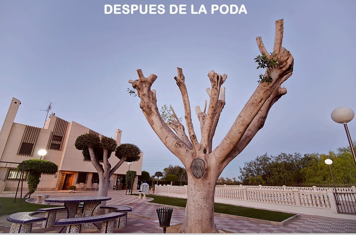 Venta de chalet en Elche-Elx Venta de chalet en Elche-Elx
