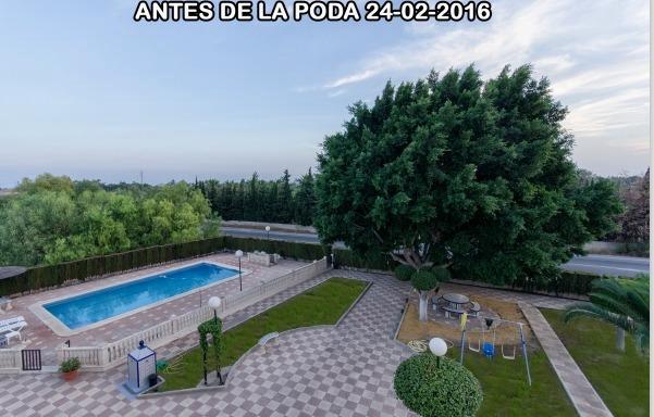 Venta de chalet en Elche-Elx Venta de chalet en Elche-Elx