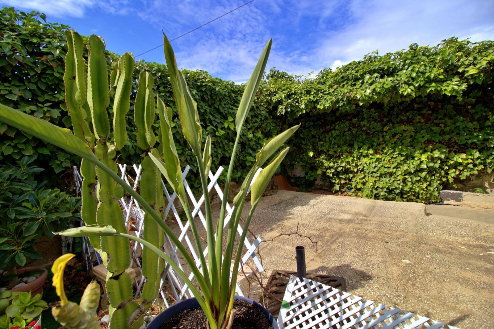 Venta de chalet en Elche-Elx Venta de chalet en Elche-Elx