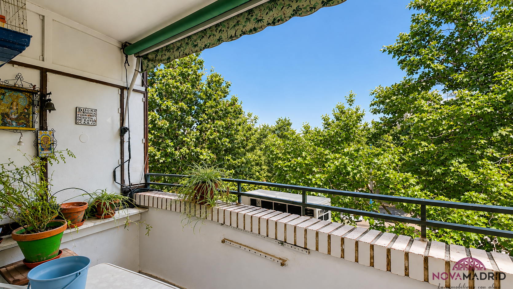 Terraza
