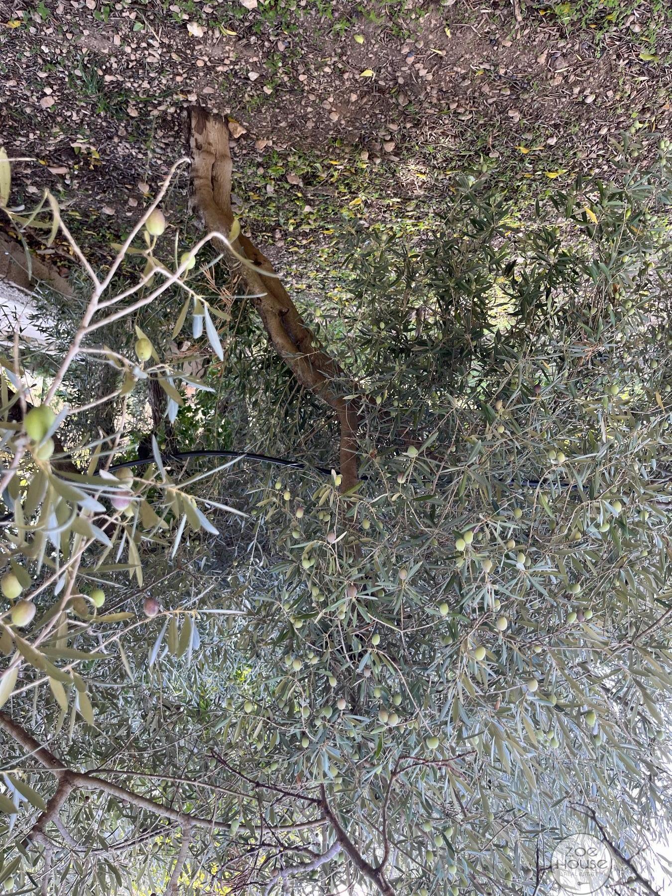 Venta de chalet en Hondón de las Nieves Venta de chalet en Hondón de las Nieves