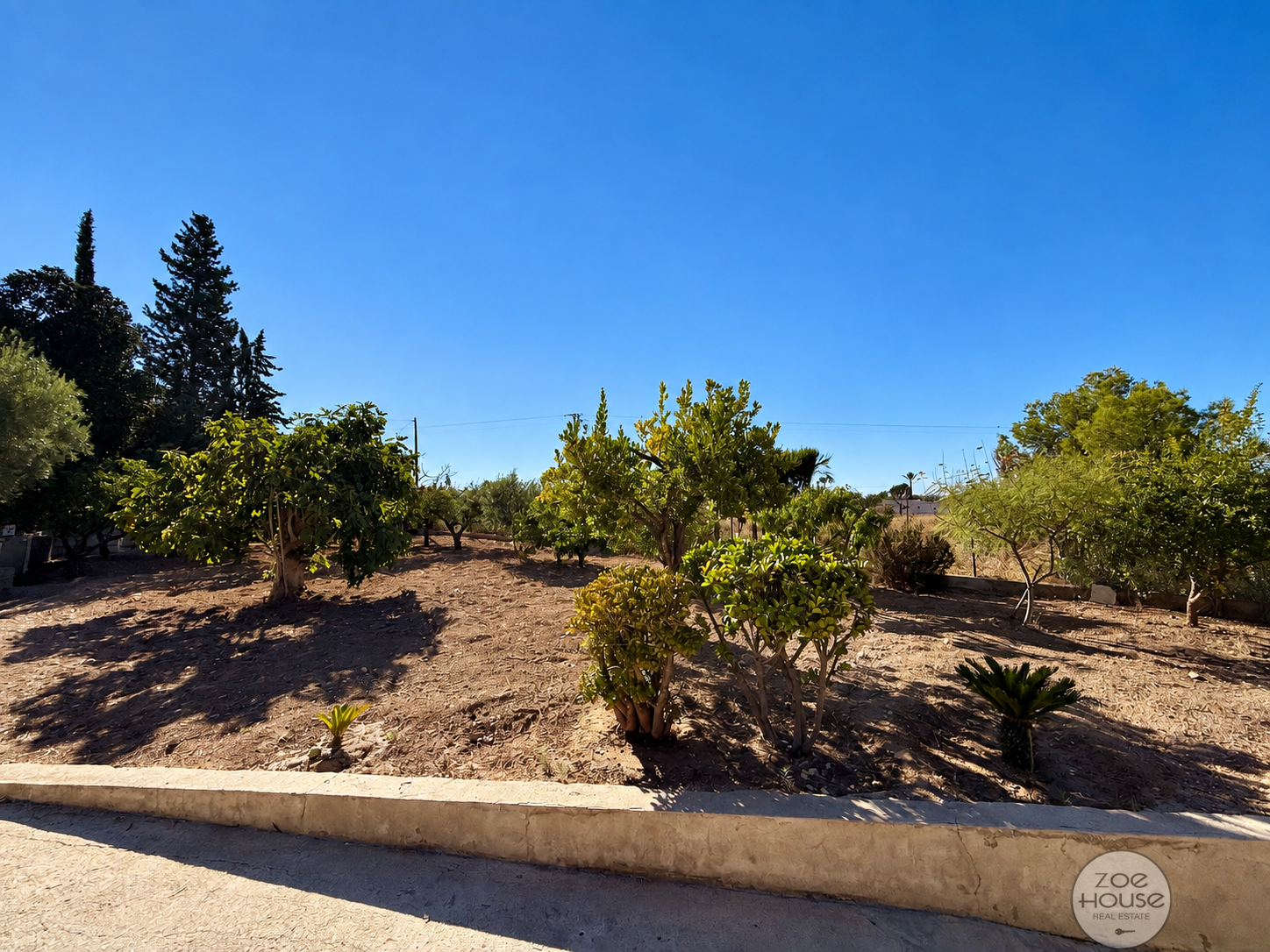 Venta de chalet en Elche-Elx